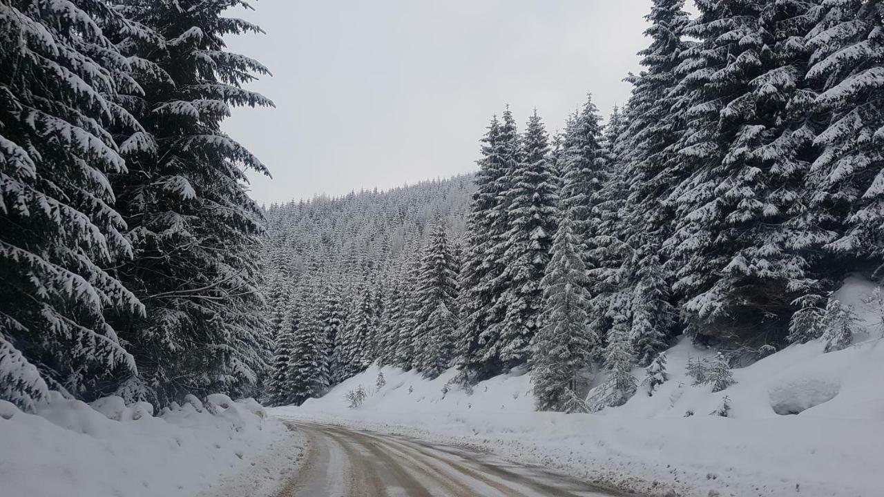 Near Center Leilighet Petroşani Eksteriør bilde