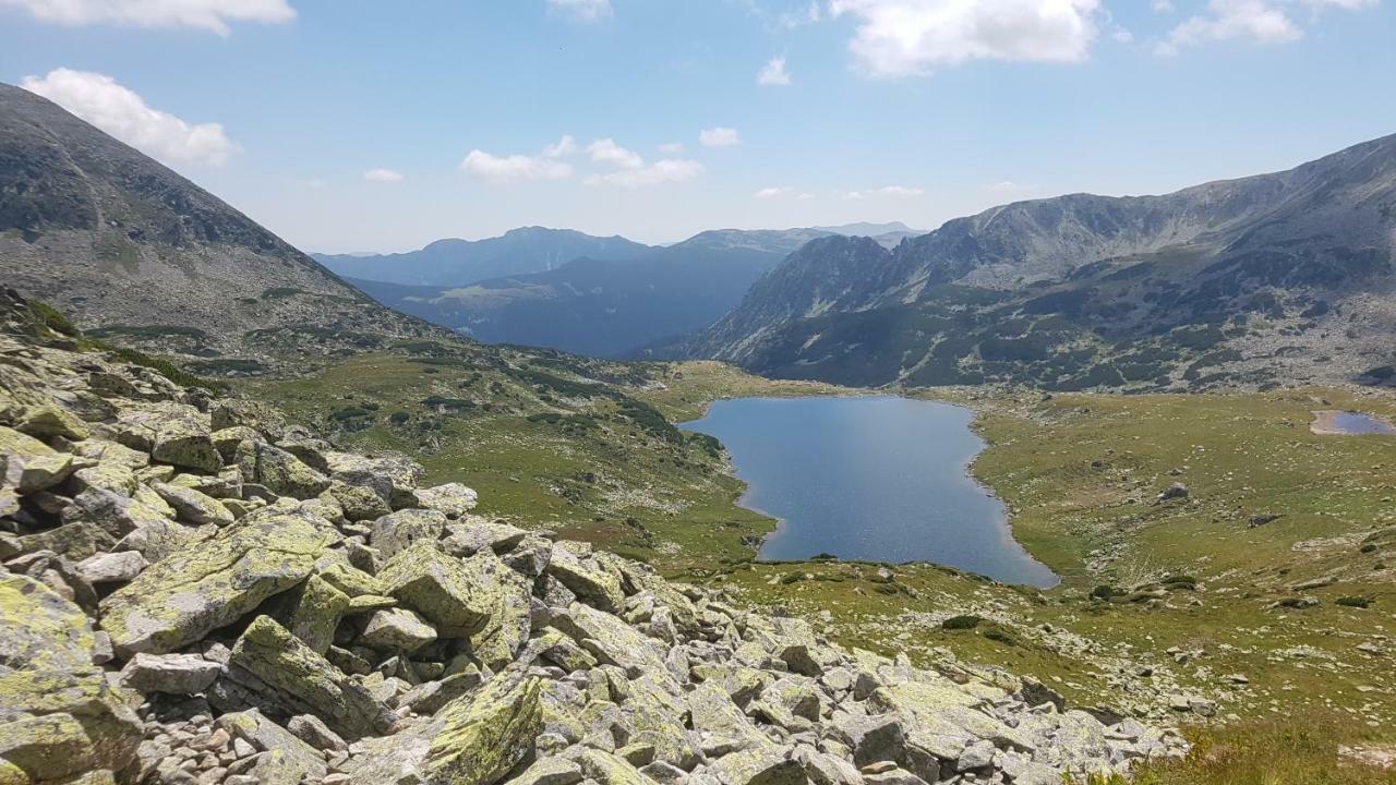 Near Center Leilighet Petroşani Eksteriør bilde